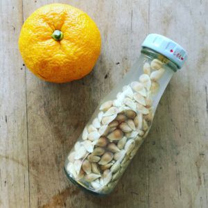 cách tự làm toner dưỡng da